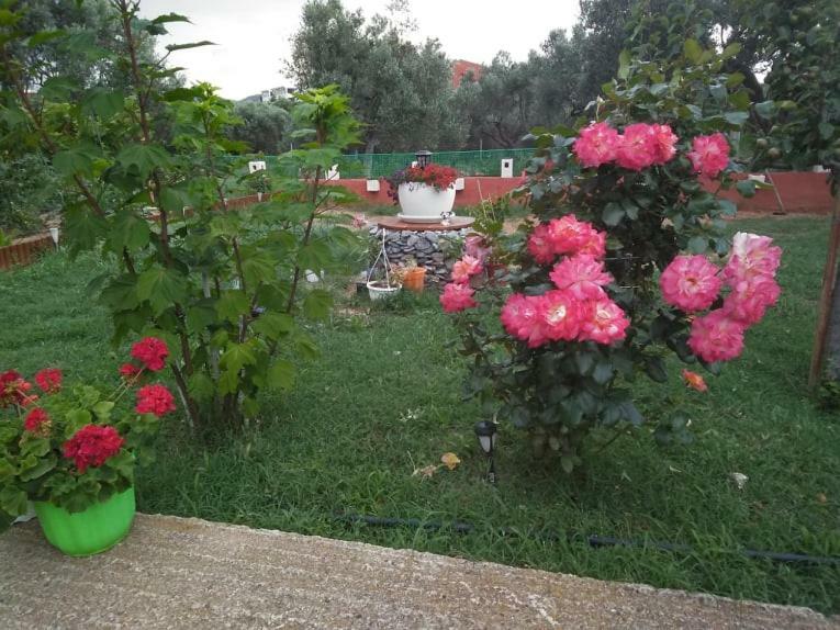 Dora'S Garden Villa Alexandroupoli Exterior foto